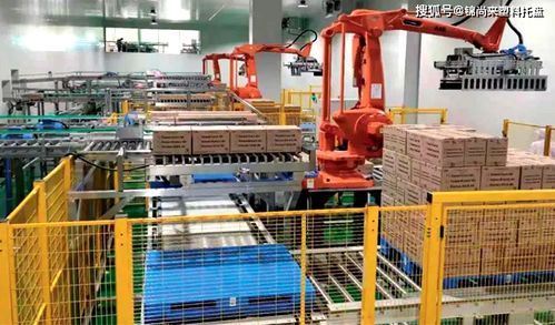 食品冷鏈物流 塑料托盤如何助力冷庫建設(shè)，守護(hù)冰淇淋好口感